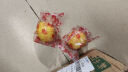 华味仙四川安岳黄柠檬 莫吉托 当季时令新鲜水果 3斤（独立花袋装） 实拍图