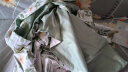 雅鹿·自由自在 A类床上四件套纯棉100%全棉夏季床单被套200*230cm 薄荷 实拍图