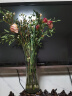 九月生 花瓶北欧风富贵竹康乃馨玫瑰百合满天星插花瓶玻璃客厅装饰摆件 实拍图