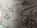 百丽丝水星家纺出品 床上四件套纯棉被套床单套件 床上用品被罩被单 实拍图