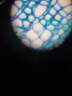 萨伽（SAGA）专业生物显微镜高清实验科研螨虫细胞精子水产猪精养殖细菌SG70 4：双目TV版标配 晒单实拍图