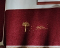 高鹤硬涤纶丝入户门地垫 耐磨耐用可剪裁 红色幸运树80*50cm 晒单实拍图