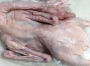 京尊达两年老鹅大白鹅7-8斤整只带内脏新鲜现杀农家散养鹅肉嫩鹅土鹅 7-8斤整只 晒单实拍图