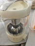 九阳（Joyoung）豆浆机1.2L家庭容量 古法豆浆 一机双盖 跨界多功能破壁机榨汁机 DJ12P-D680白 实拍图