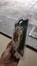 大白鲨（BIGWHITESHARK）金刚石碗磨打磨片石材角磨机磨光片大理石抛光金刚砂磨轮石头水泥 1片【直径100mm厚度7mm】 实拍图