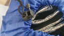 牧高笛（MOBIGARDEN） 防潮垫 户外露营防水便携公园野餐垫双面铝膜垫 NX20663008 银色 实拍图