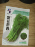 唯友蔬菜种子大全四季播种阳台盆栽农家小菜园香菜生菜菠菜小葱易种 割茬茴香 约2000粒 实拍图
