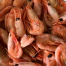 禧美海产 头籽北极甜虾1.5kg/盒 90-120规格 35%头籽率 解冻即食 生鲜海鲜 实拍图