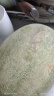 京鲜生 海南西州蜜哈密瓜  2粒装 单果2斤起 净重4.5斤起 源头直发包邮 实拍图