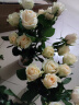 简势（jianshi）品质鲜花玫瑰花康乃馨百合向日花束云南昆明基地源头直发 玫瑰-10支（随机单色） 晒单实拍图