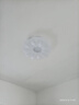 大观园（DGY）北欧设计师卧室吸顶灯意大利浪漫花瓣客厅主灯广东中山灯具194O 24W 9671-53CM-无极调光- 实拍图