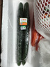 東昇供港刺青瓜500g 黄瓜 凉拌炒菜  广州蔬菜新鲜配送 实拍图