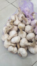 2025年现挖新鲜嫩大蒜河南大蒜腌制糖醋蒜泡蒜新鲜湿蒜紫皮白蒜装 5斤 现挖湿蒜（特大）六公分以上礼品 实拍图