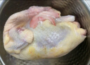 温氏供港农养大公鸡1.6kg 高品质 冷冻土鸡散养走地鸡炒鸡 整鸡 实拍图