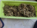 绿族6L水苔干苔藓青苔蝴蝶兰石斛兰花专用营养土乌龟爬宠造景垫材植物 实拍图