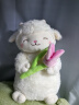 名创优品（MINISO）羊咩咩系列-暖白小羊公仔毛绒玩具抱枕睡觉卧室礼物 抱郁金香款 实拍图