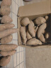 寄春板栗蜜薯10斤新鲜红薯西瓜红农家自种沙地红薯粉糯香甜糖心地瓜 红薯 精品带箱9-10斤装 小果 实拍图