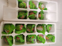 活珠子13天毛蛋山东新鲜鸡胚蛋钢化蛋真空包装开袋即食熟食带蘸料 五香活珠子40枚 带蘸料 实拍图