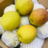 译优农【顺丰现摘】新疆库尔勒香梨 新鲜特级梨子脆甜香梨当季孕妇水果 5斤精选一级果彩箱装【单果100-120g】 新鲜 实拍图