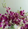 花点时间鲜花云南直发送女友送老婆生日礼物玫瑰六出组合花材花束 进口紫色洋兰12枝 实拍图