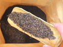 新益号冰岛普洱茶熟茶十年以上散茶云南古树茶老曼峨特级口粮茶叶自己喝 300g【店长力荐】14年陈老曼峨 实拍图