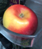 乐淇（ROCKIT）进口火箭筒苹果 5粒超大筒装 单筒465g起 生鲜 新鲜水果 晒单实拍图