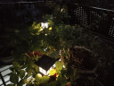 晚灯太阳能草坪灯庭院草地家用小夜灯插地户外防水院子花园景观装饰灯 白光方格【加大版 带底座地插】 实拍图