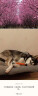 夸克狗粮 金毛阿拉斯加拉布拉多哈士奇马犬萨摩耶德牧中大型犬通用粮 成犬10kg20斤 实拍图