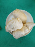 京鲜生 进口金枕头榴莲 1.5-2kg 1个装 新鲜水果 实拍图