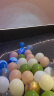 青苇 气球40个装生日场景布置母亲节520表白婚庆气球装饰橄榄绿混搭 实拍图