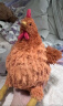 Jellycat塞西尔小鸡 可爱公仔毛绒玩具安睡玩偶生日礼物 塞西尔小鸡 H23 X W10 CM 晒单实拍图