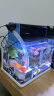森森 超白玻璃小鱼缸HRK-300套缸款(长29.5cm)热弯玻璃+过滤器+水草灯 实拍图