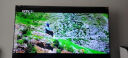 TCL电视 65Q10K 65英寸 Mini LED 1512分区 XDR 3500nits QLED量子点 超薄 4K大屏液晶智能平板电视机 实拍图