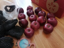 卡布诺云南昭通黑卡嘎啦苹果黑钻紫色浪漫圣诞苹果平安果新鲜稀有水果 5斤中小果70-75mm 实拍图