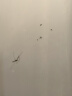 格林盈璐（GREENYELLOW）灭蚊灯灭蚊器驱蚊器家用吸入式卧室客厅母婴蚊子神器GM972 实拍图
