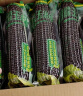 东北黑玉米10根新鲜紫黏玉米双棒装即食甜嫩苞米粒真空蔬菜 十根 实拍图