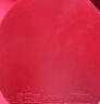 XIOM骄猛 白金V蓝V乒乓球拍胶皮 反胶套胶79-024 红色 2.0 晒单实拍图