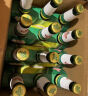 青岛啤酒（TsingTao）经典系列浓郁麦香百年工艺330ml*24瓶 整箱装 五一出游 实拍图