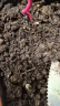 德沃多肥料 羊粪有机肥5KG通用 植物盆栽肥料有机肥料羊粪蛋有机肥发酵羊粪肥花卉绿植营养土肥料 晒单实拍图