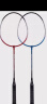 红双喜DHS 羽毛球拍对拍2支装实惠训练双拍208铁合金红蓝情侣对拍 实拍图