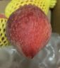 京鲜生 河北春雪桃 脆红桃子1.5kg 单果150g起  生鲜 鲜桃 新鲜水果 实拍图