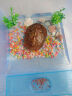 龟真寿乌龟缸  大号套餐一（40*30*17cm ）带晒台开放式养龟缸 实拍图