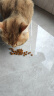 好主人猫粮 幼猫猫粮 室内天然粮 全价幼猫粮通用鸡肉味 5斤 实拍图