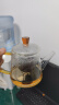 雅集玻璃茶壶 过滤泡茶壶家用耐高温茶水分离泡茶器单壶500ml 实拍图
