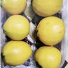 【顺丰】水蒲桃新鲜水果叮当果 蒲桃自种水番桃套袋水果 2斤 1斤 现货速发 实拍图