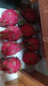 好乐果8个装海南金都一号红心火龙果 蜜宝 红肉火龙果生鲜 单果300-200g 实拍图