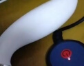痔疮理疗仪按摩器内痔外痔热灸痔核肉球肛乳头瘤肛裂前列腺直肠热疗场效应新一代肛泰震动红外线保健 加温震动标准款配两支痔疮膏 实拍图
