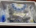 康悦堂大连即食海参底播辽刺参冷冻独立包装海参海鲜水产年货送礼礼盒 【年货礼盒】即食海参3斤礼盒装【15-36头】 实拍图