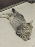 伯纳天纯PureNatural宠物猫粮 成猫猫粮 毛球管理10kg 经典系列 实拍图