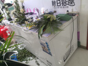 美凌美智系列冰柜商用大容量全冷冻卧式冷藏冷冻双温家用冷柜展示柜 1288单温铜管智能 实拍图